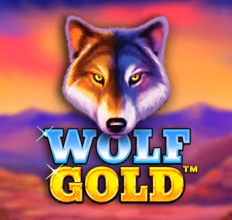 Wolf Gold slot game featured, a popular choice at Spinational casino.